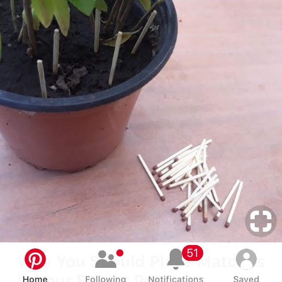 Meet your Posher, C - Picture 1 of 1